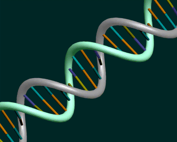 DNA_Helix